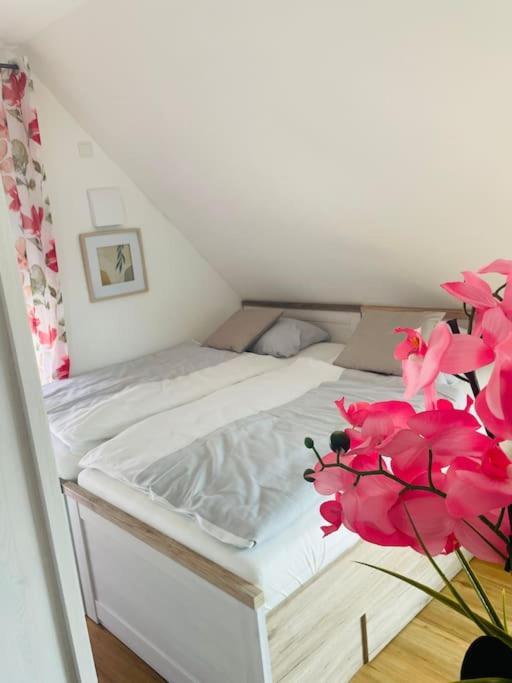 Apartment Scholle Steinbeck Recke Εξωτερικό φωτογραφία